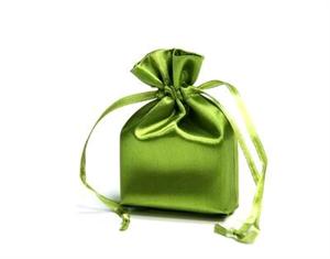 Willow Satin Bag