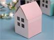 Pink House Box