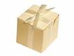 Ivory Color Favor Box